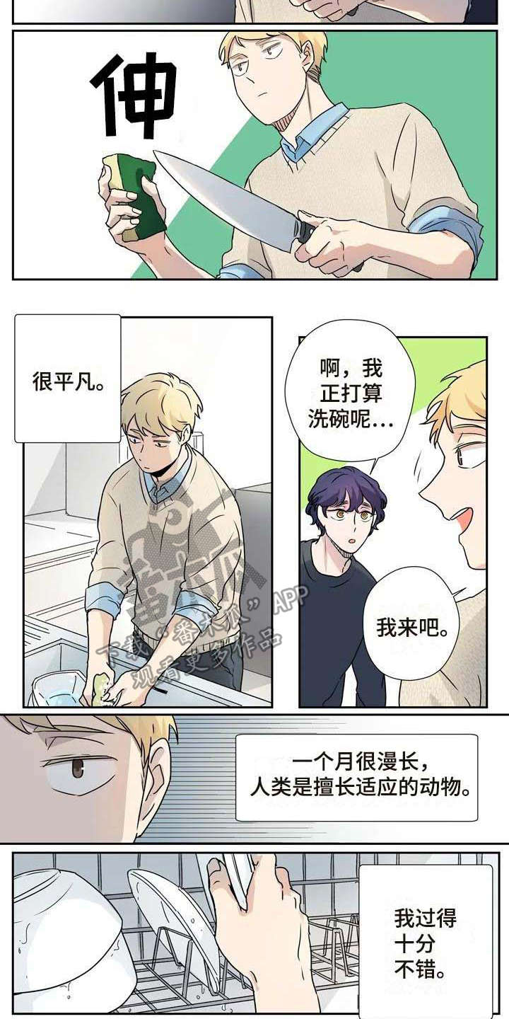 室友合租杀手漫画,第13章：混淆3图