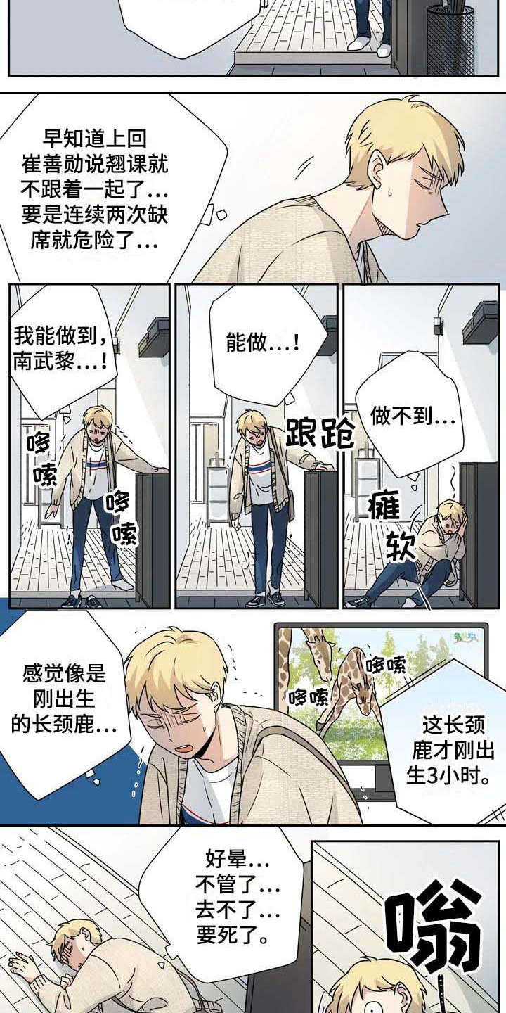 杀手室友漫画,第19章：生病3图