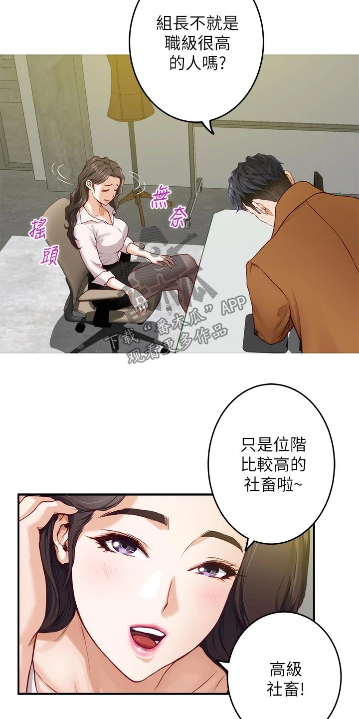 抚平是什么意思漫画,第47章：见面4图