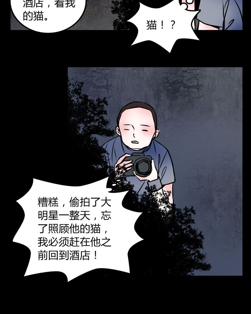 女巫躲猫猫漫画,第59章：流浪猫4图