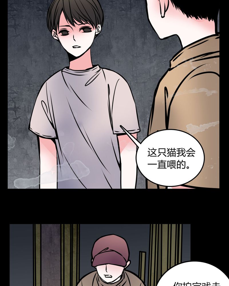 女巫简笔画漫画,第59章：流浪猫2图