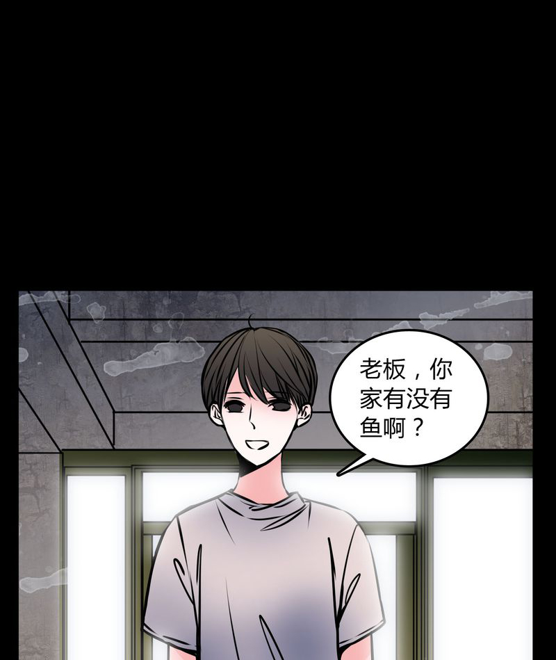 女巫躲猫猫漫画,第59章：流浪猫2图