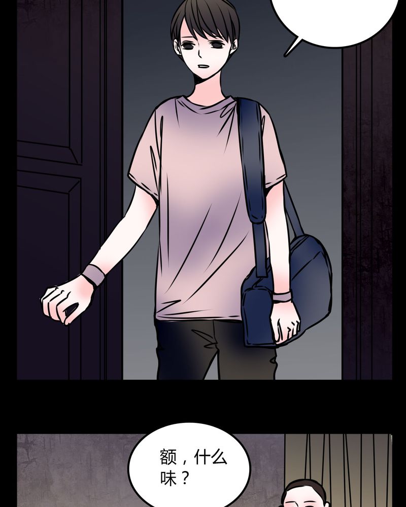 女巫躲猫猫漫画,第59章：流浪猫1图