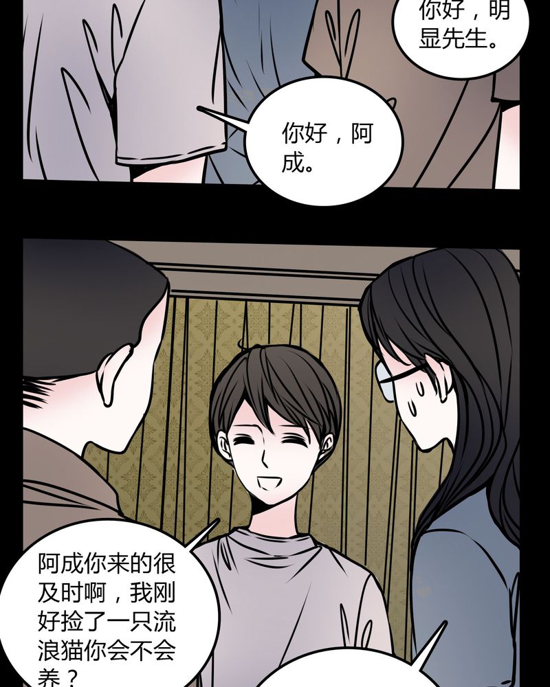 女巫简笔画漫画,第59章：流浪猫5图