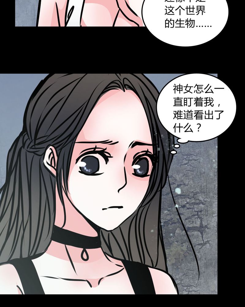 女巫躲猫猫漫画,第70章：塔罗牌4图