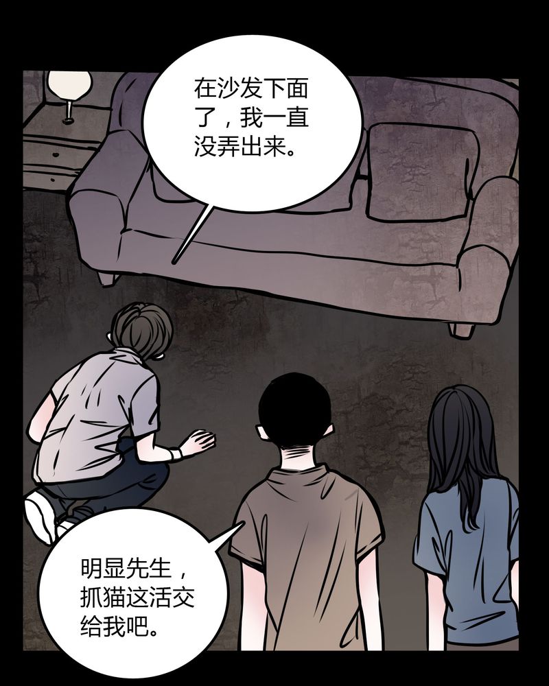 女巫躲猫猫漫画,第59章：流浪猫2图