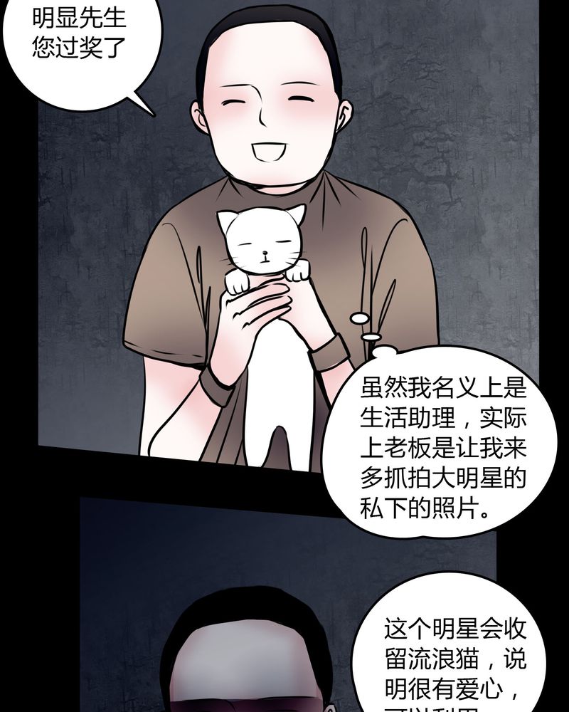 女巫躲猫猫漫画,第59章：流浪猫4图