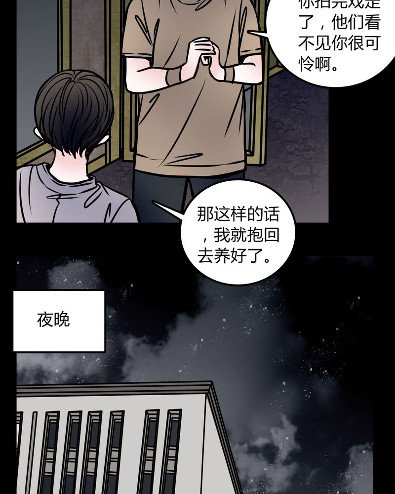 女巫简笔画漫画,第59章：流浪猫3图