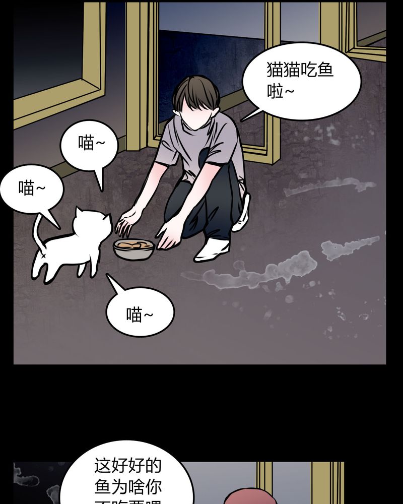 女巫躲猫猫漫画,第59章：流浪猫5图