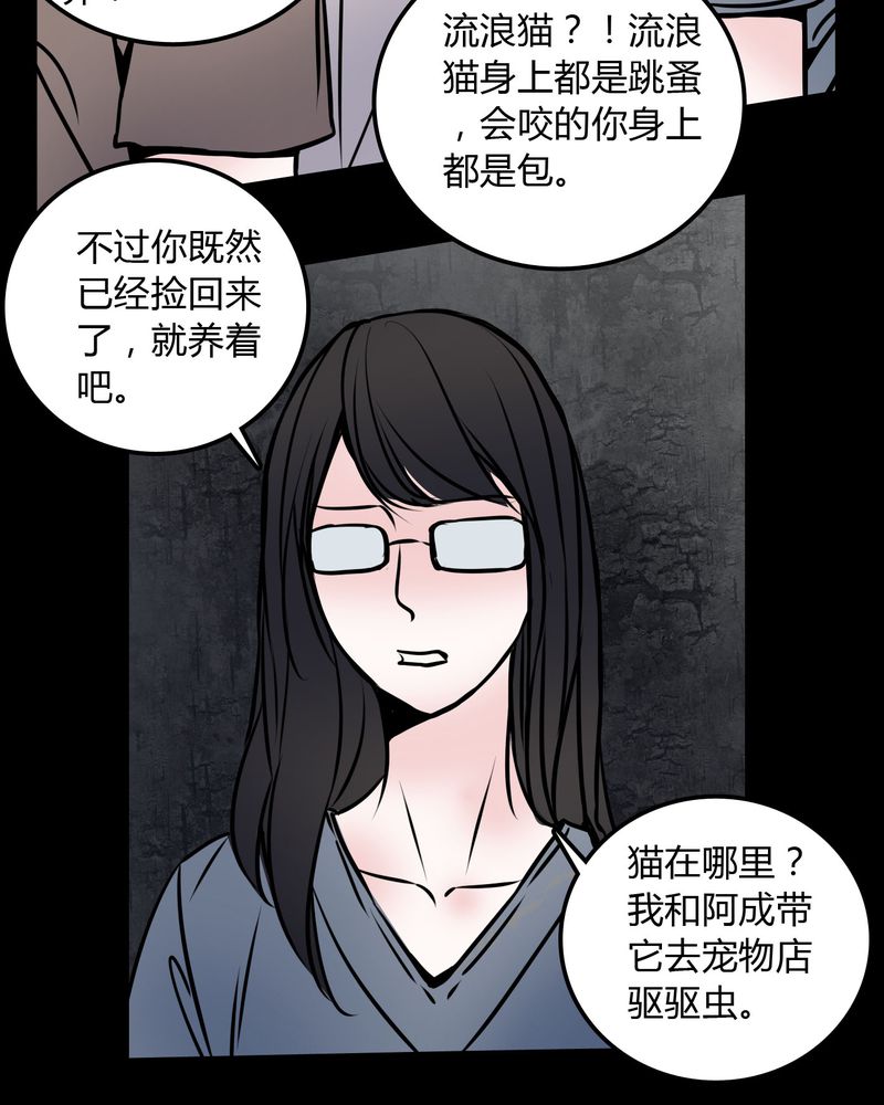 女巫躲猫猫漫画,第59章：流浪猫1图