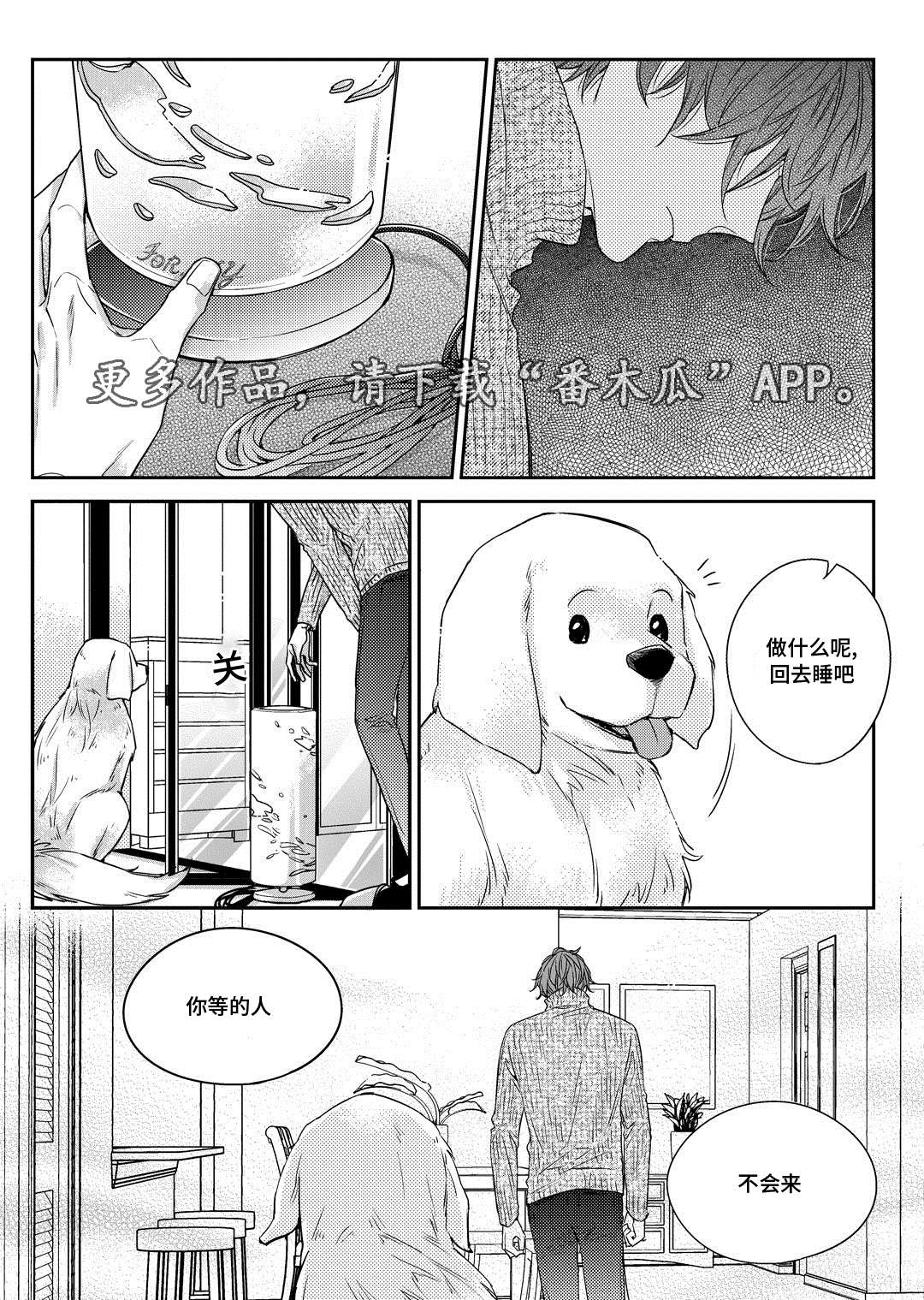 销声匿迹漫画,第29章：出国4图