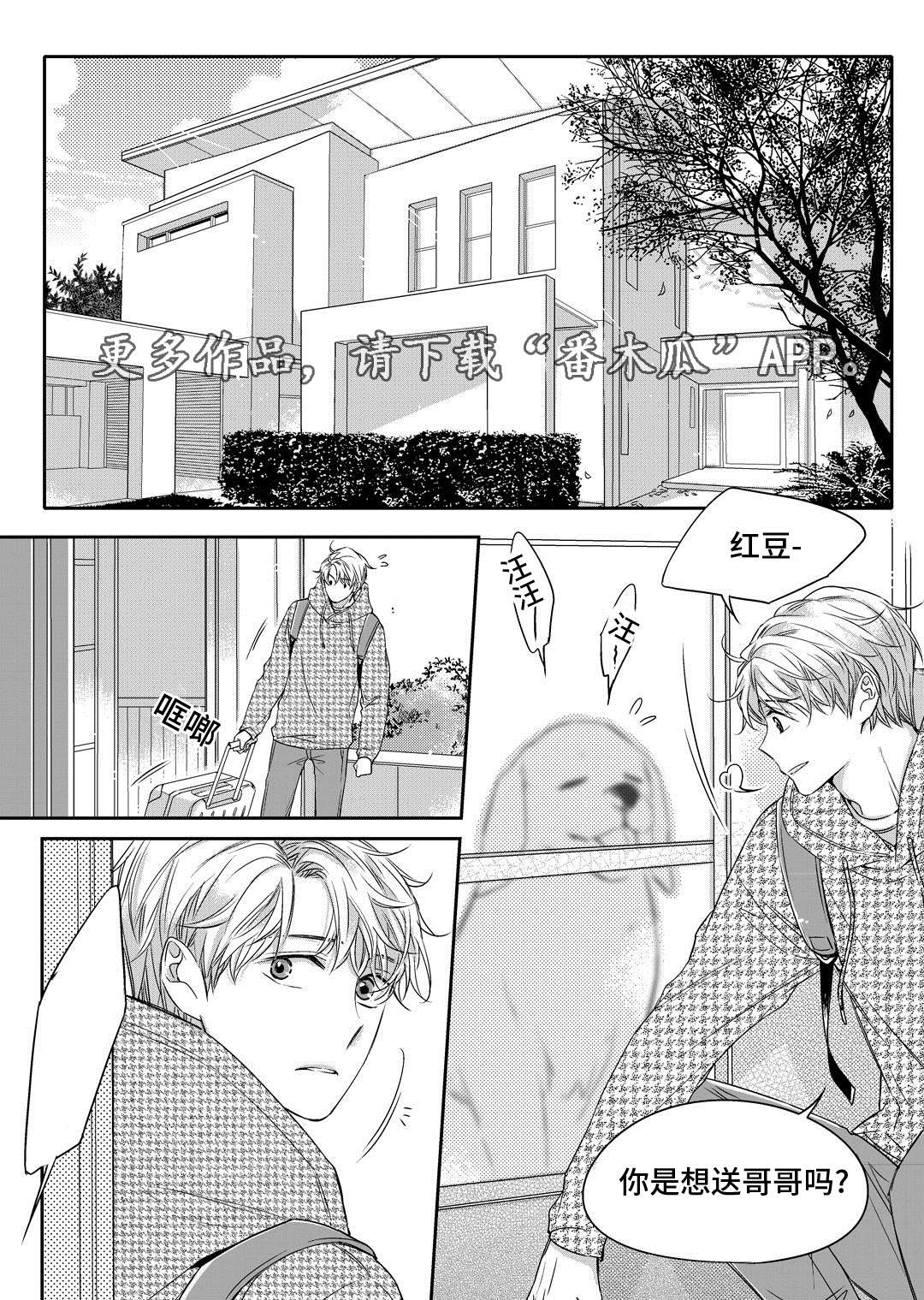 销声匿迹漫画,第17章：玩具1图