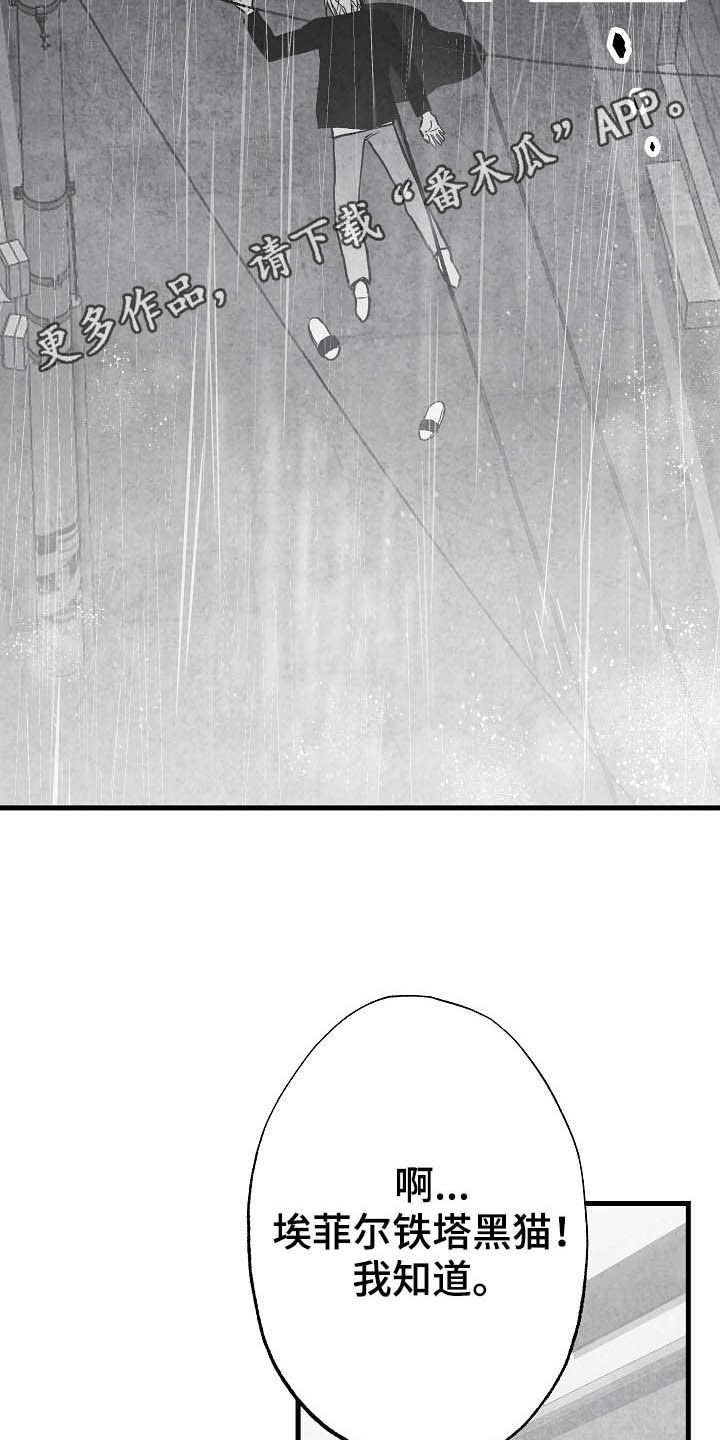 治愈人生漫画,第87章：【第二季】相片2图