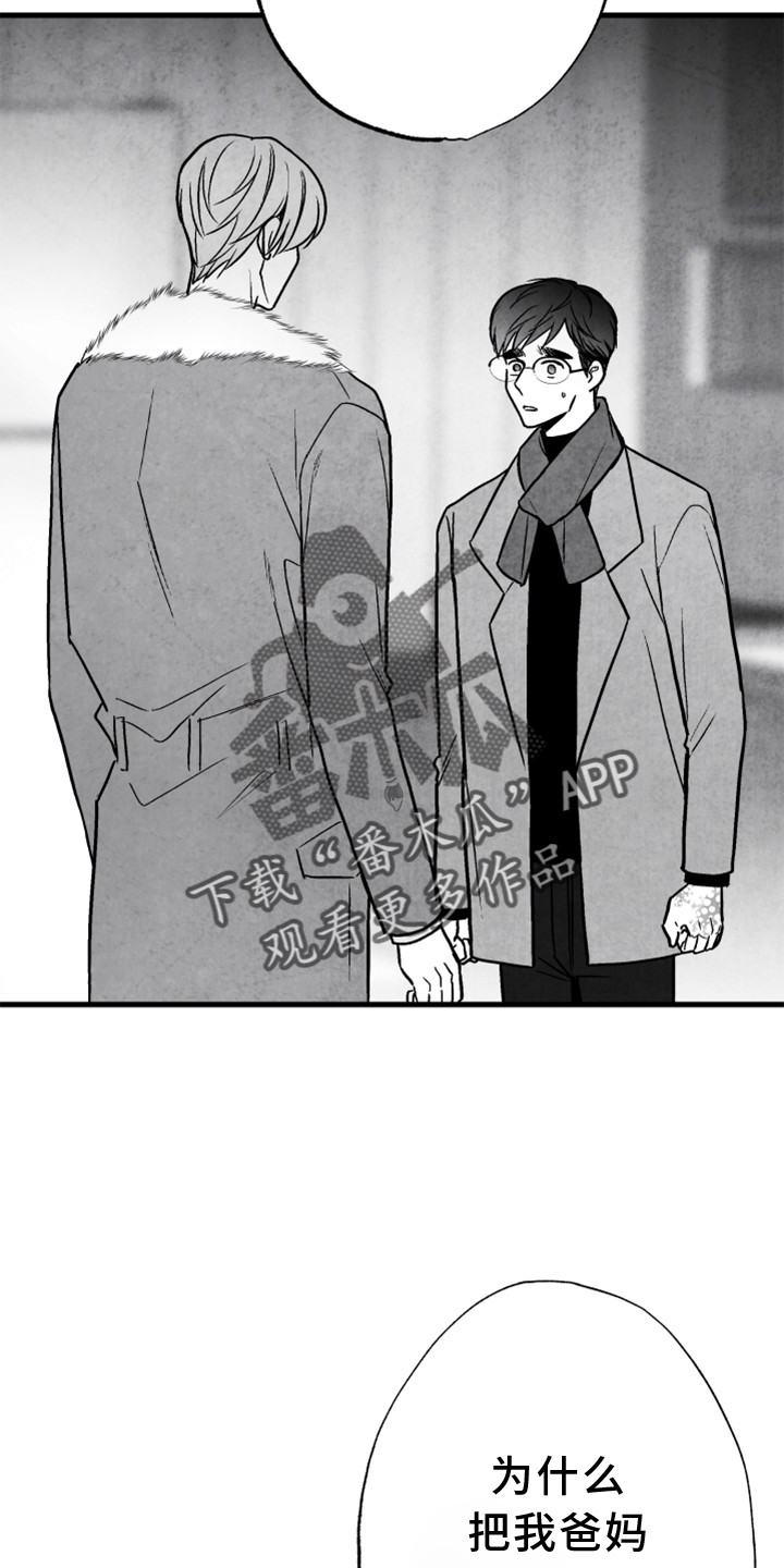 治愈人生漫画,第121章：【第二季】真相2图