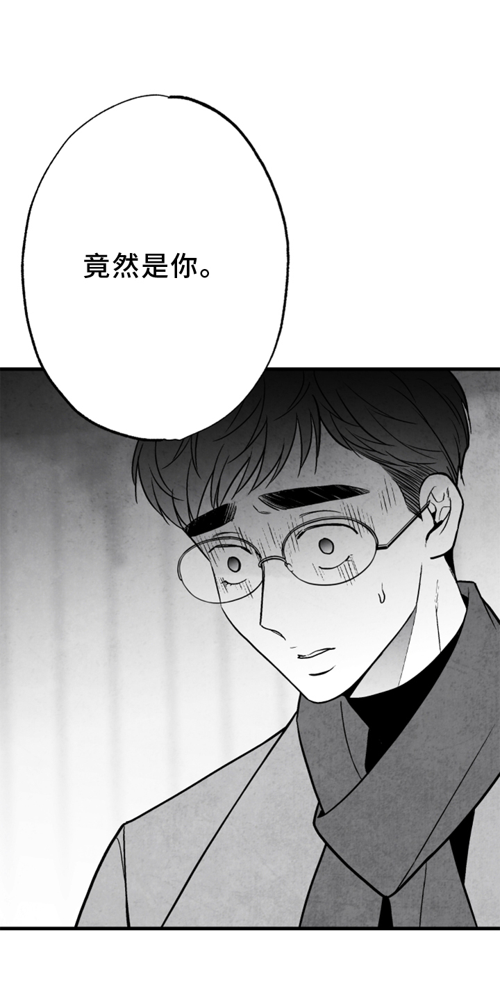 治愈人生漫画,第121章：【第二季】真相1图