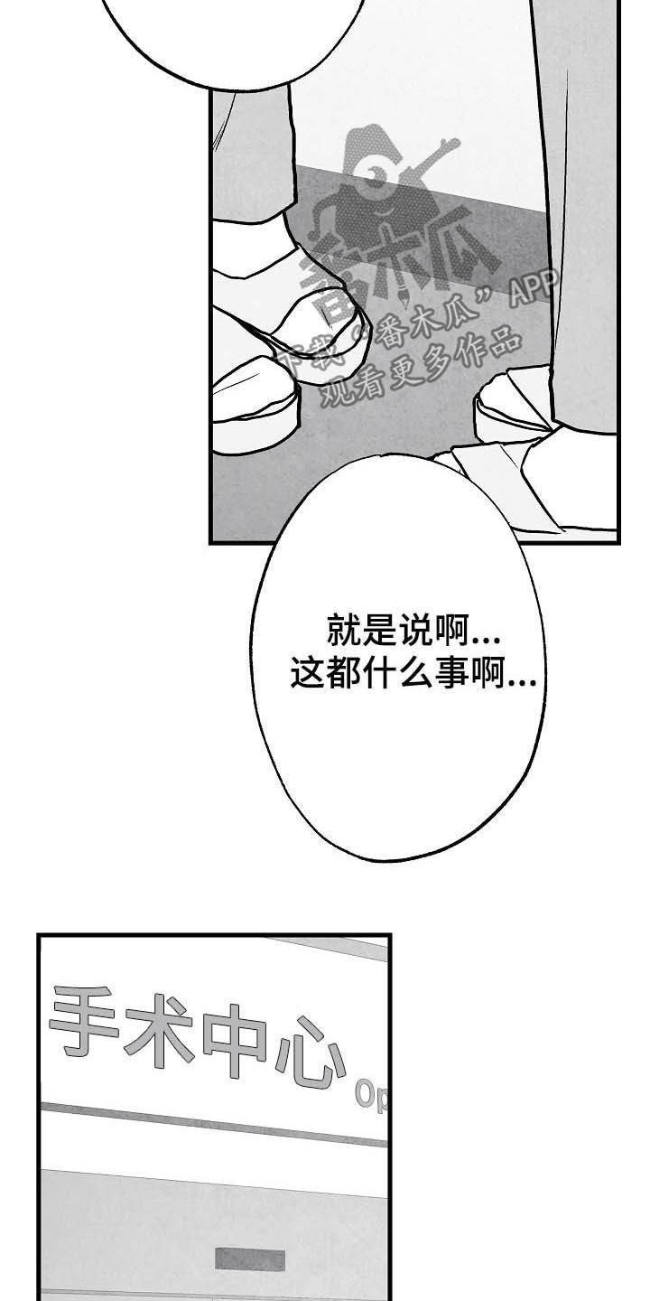 治愈人生漫画,第88章：【第二季】包厢2图