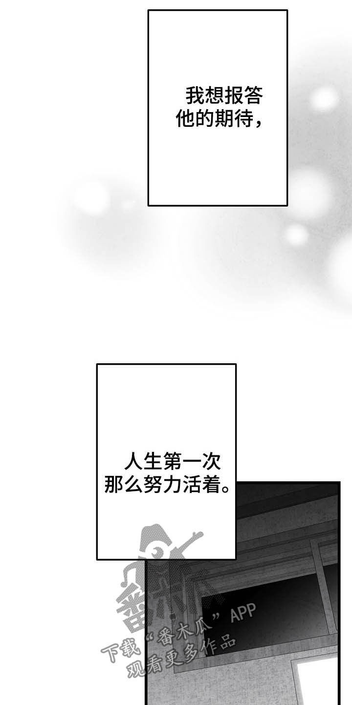 治愈人生漫画,第92章：【第二季】无疾而终3图