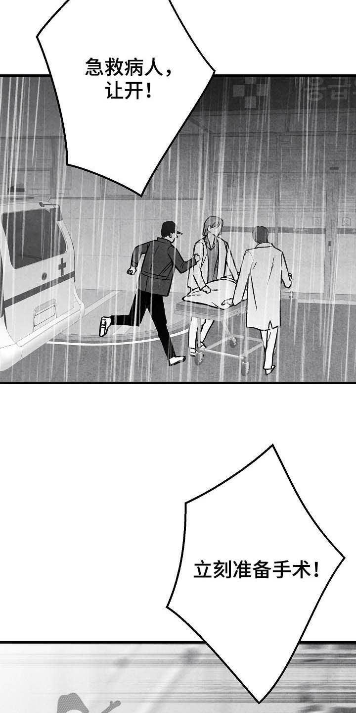 治愈人生漫画,第88章：【第二季】包厢4图