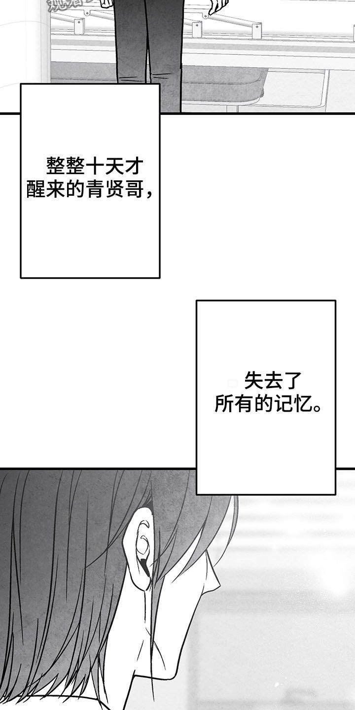 治愈人生漫画,第103章：【第二季】失忆5图