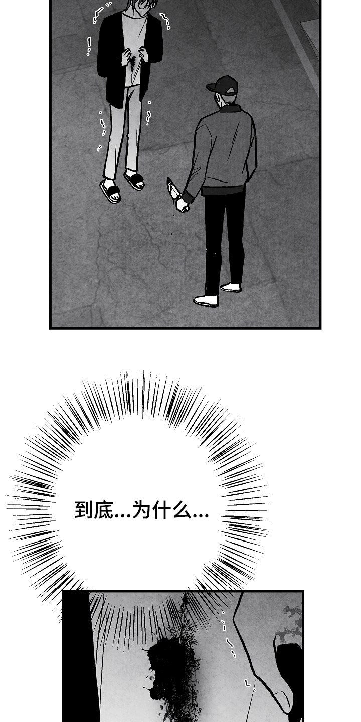 治愈人生漫画,第86章：【第二季】行凶1图