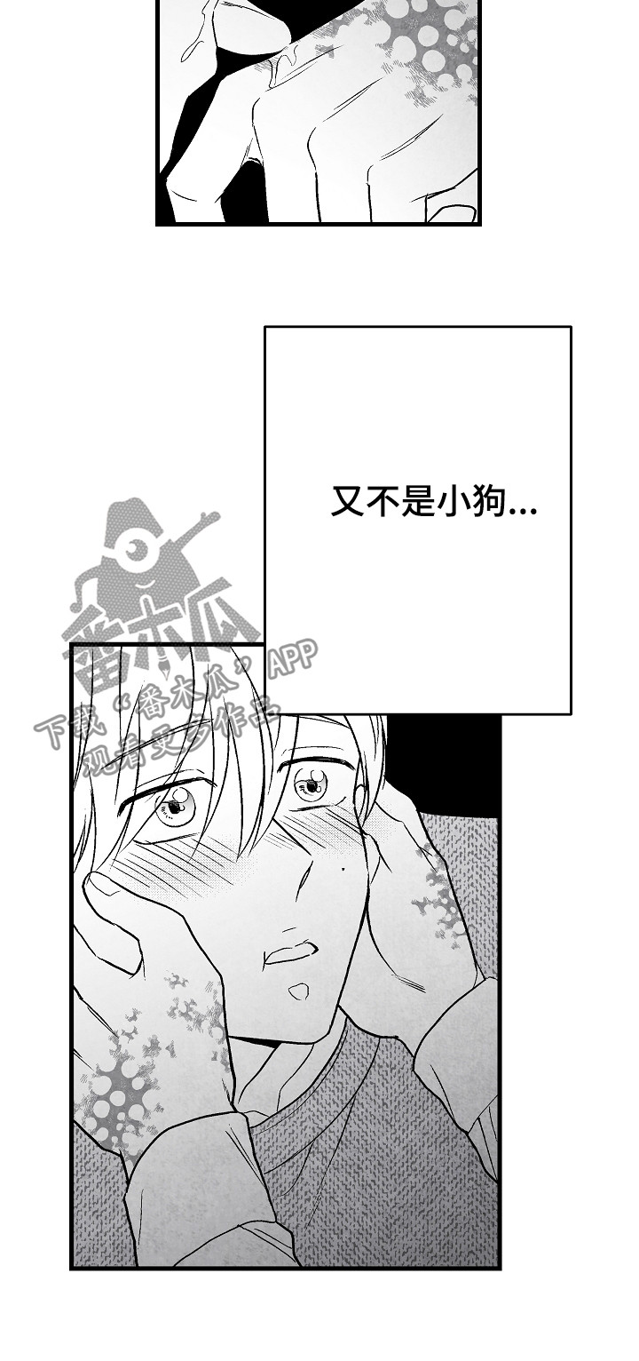 治愈人生漫画,第54章：怎么办4图