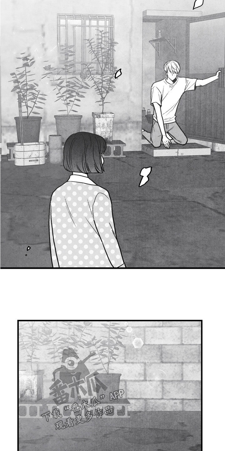 治愈人生漫画,第108章：【第二季】你是谁3图