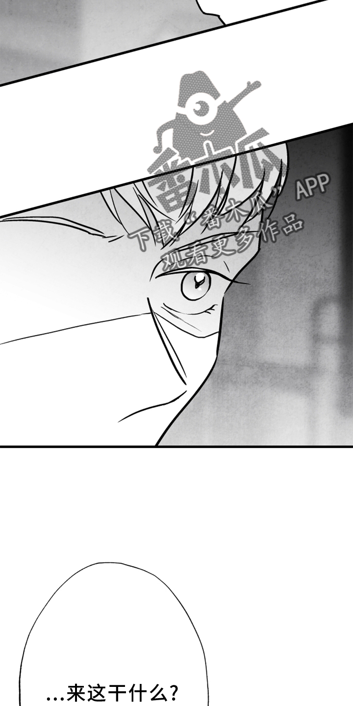 治愈人生漫画,第133章：【第二季】灭口4图