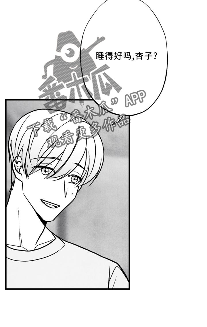 治愈人生漫画,第118章：【第二季】酒味4图