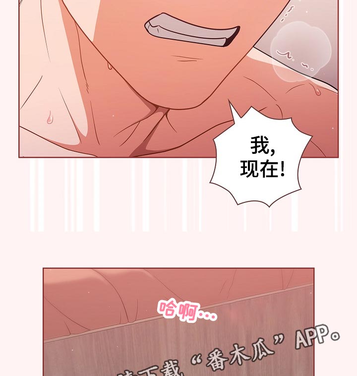 番茄漫画,第41章：没满足3图