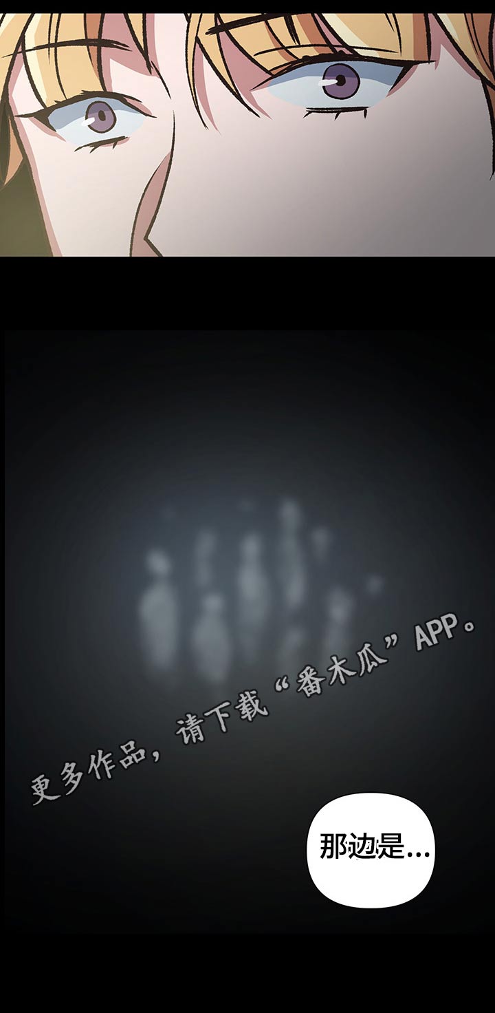 祖灵之王介绍漫画,第96章：母亲3图