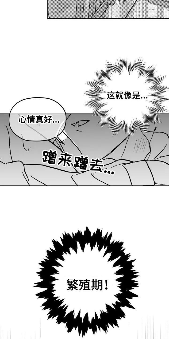 寻找波浪里的你漫画,第3章：特殊5图