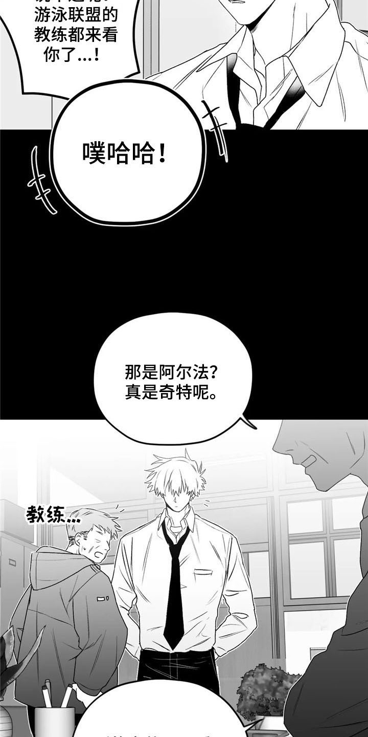 寻找波浪里的你漫画,第29章：去路2图
