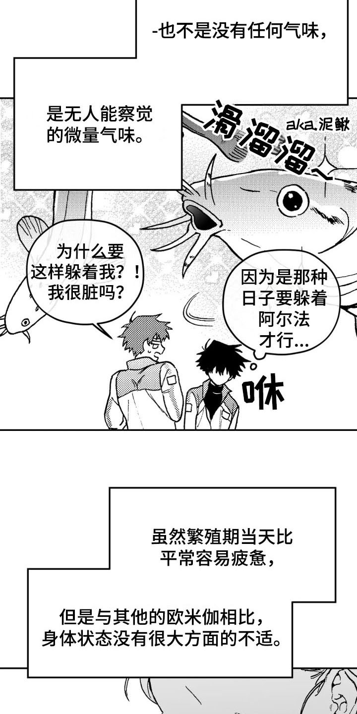 寻找波浪里的你漫画,第3章：特殊2图