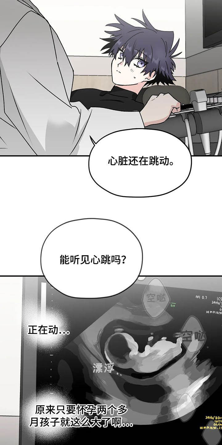 寻找波浪里的你漫画,第64章：【第二季】产检1图