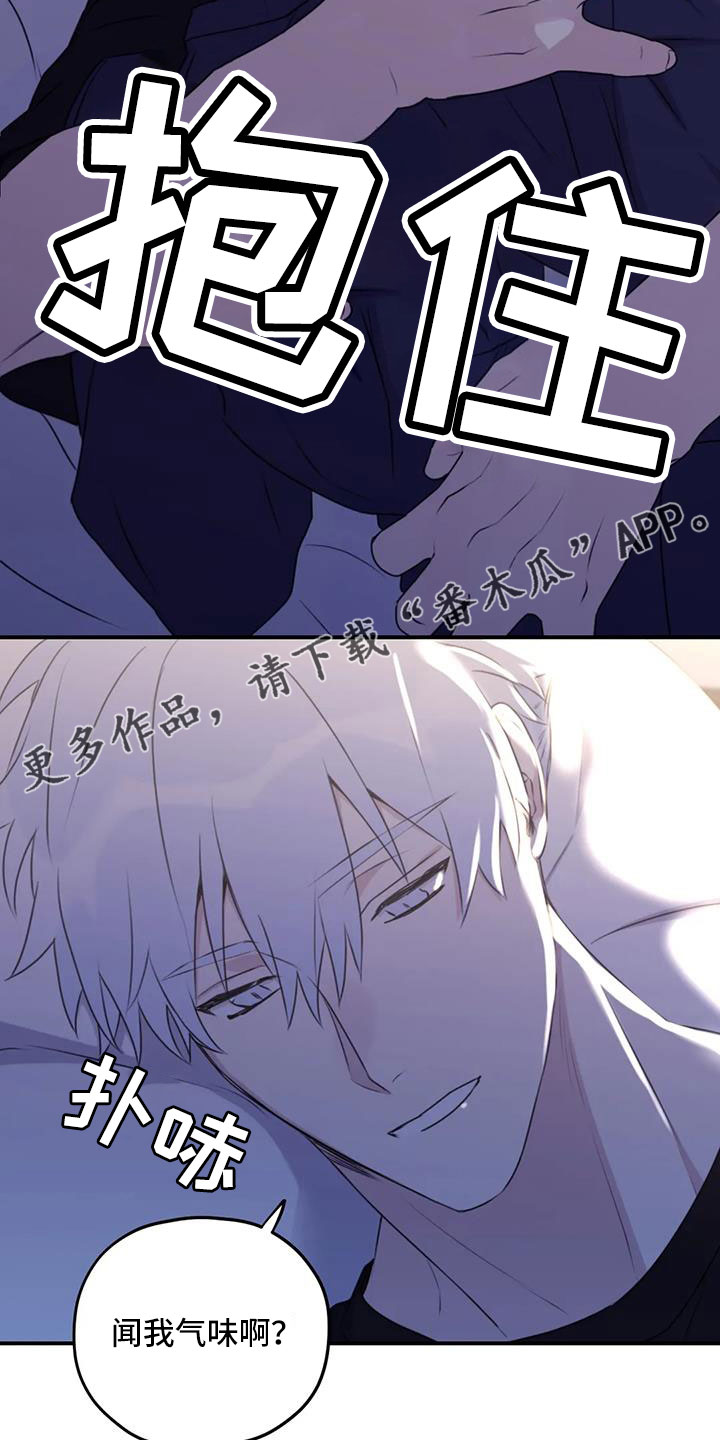 寻找波浪里的你漫画,第115章：【番外】标记吗4图