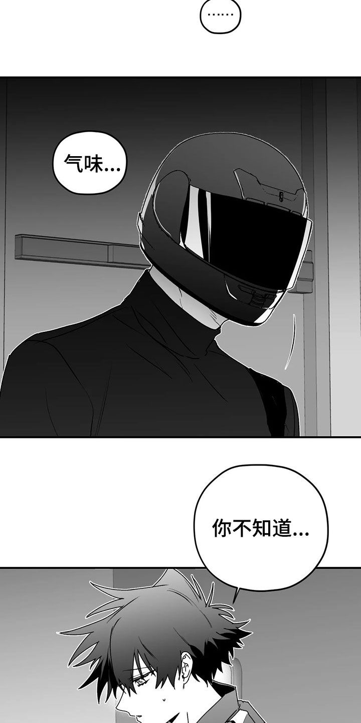 寻找波浪里的你漫画,第54章：发现3图