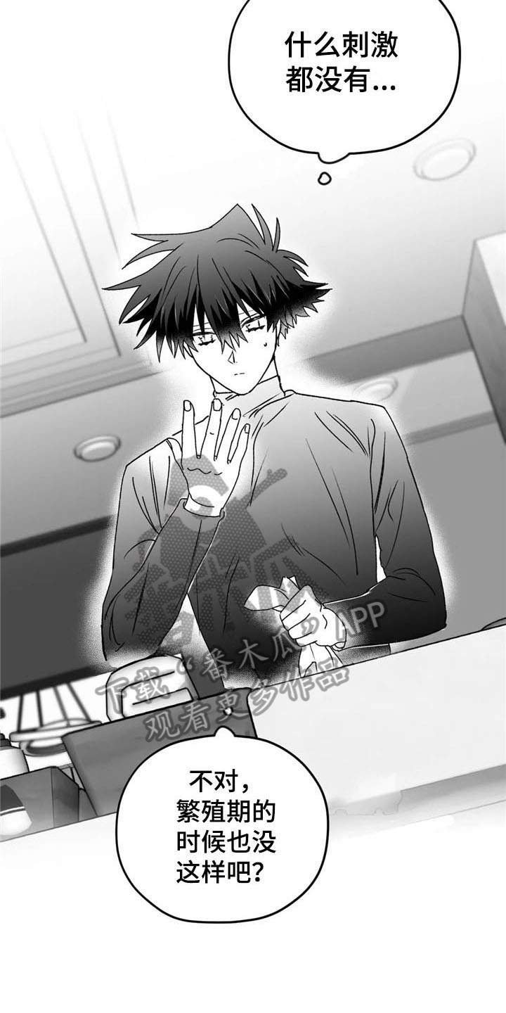 寻找波浪里的你漫画,第25章：礼物1图