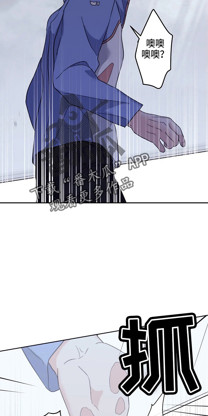 第100章：【第二季】晕倒4