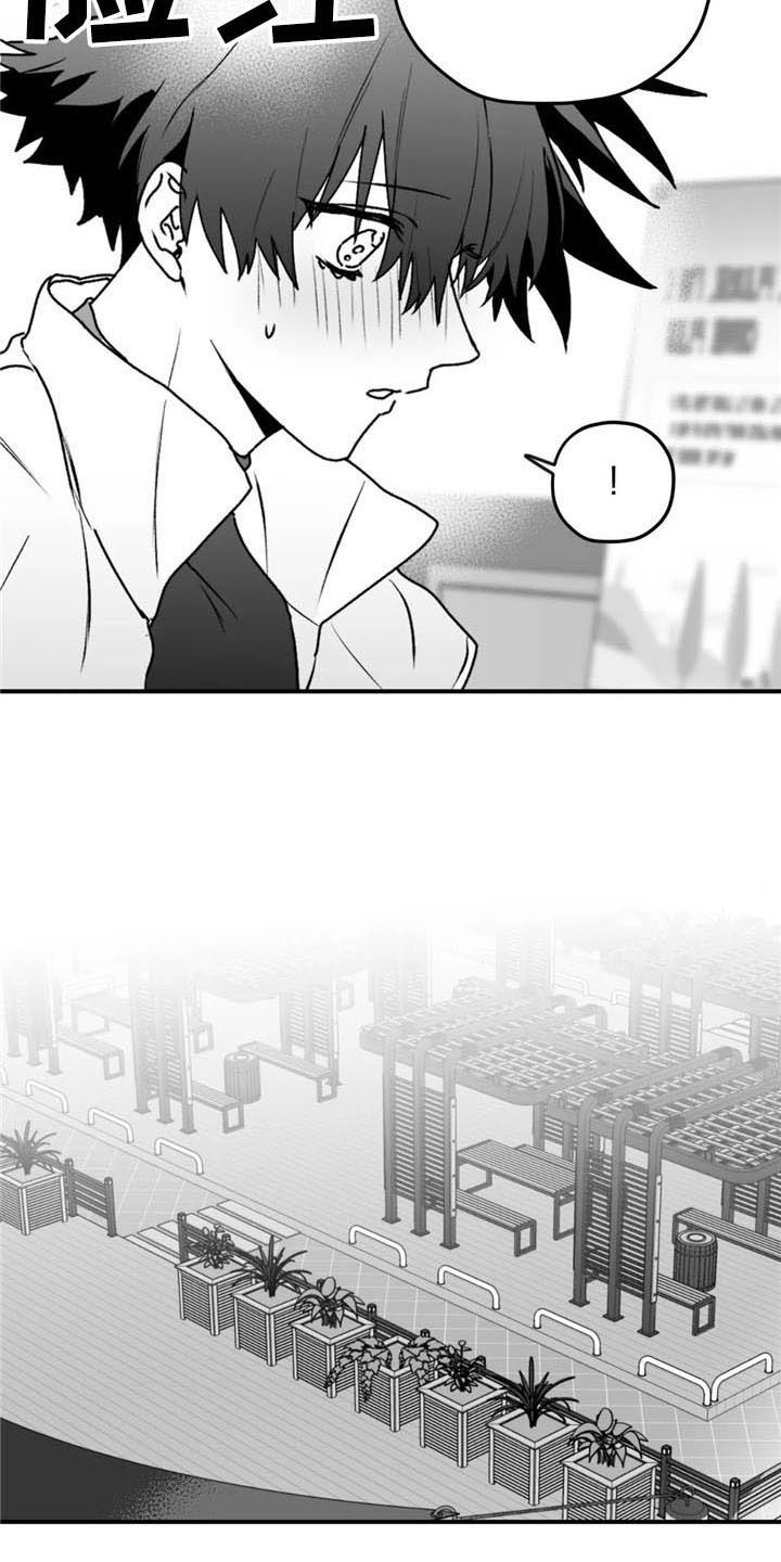 寻找波浪里的你漫画,第49章：询问4图