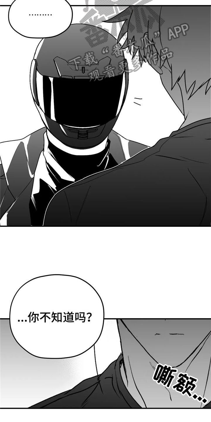 寻找波浪里的你漫画,第48章：质疑3图