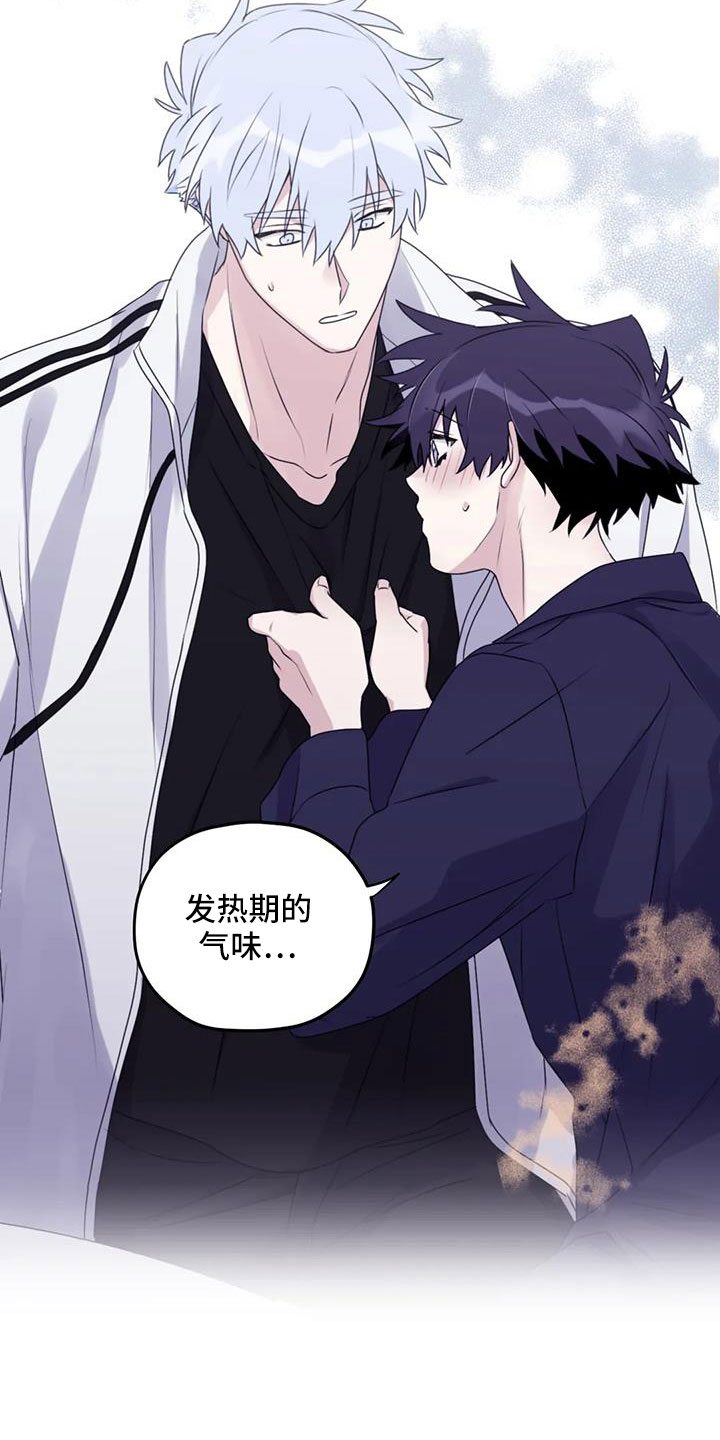 寻找波浪里的你漫画,第116章：【番外】气味5图