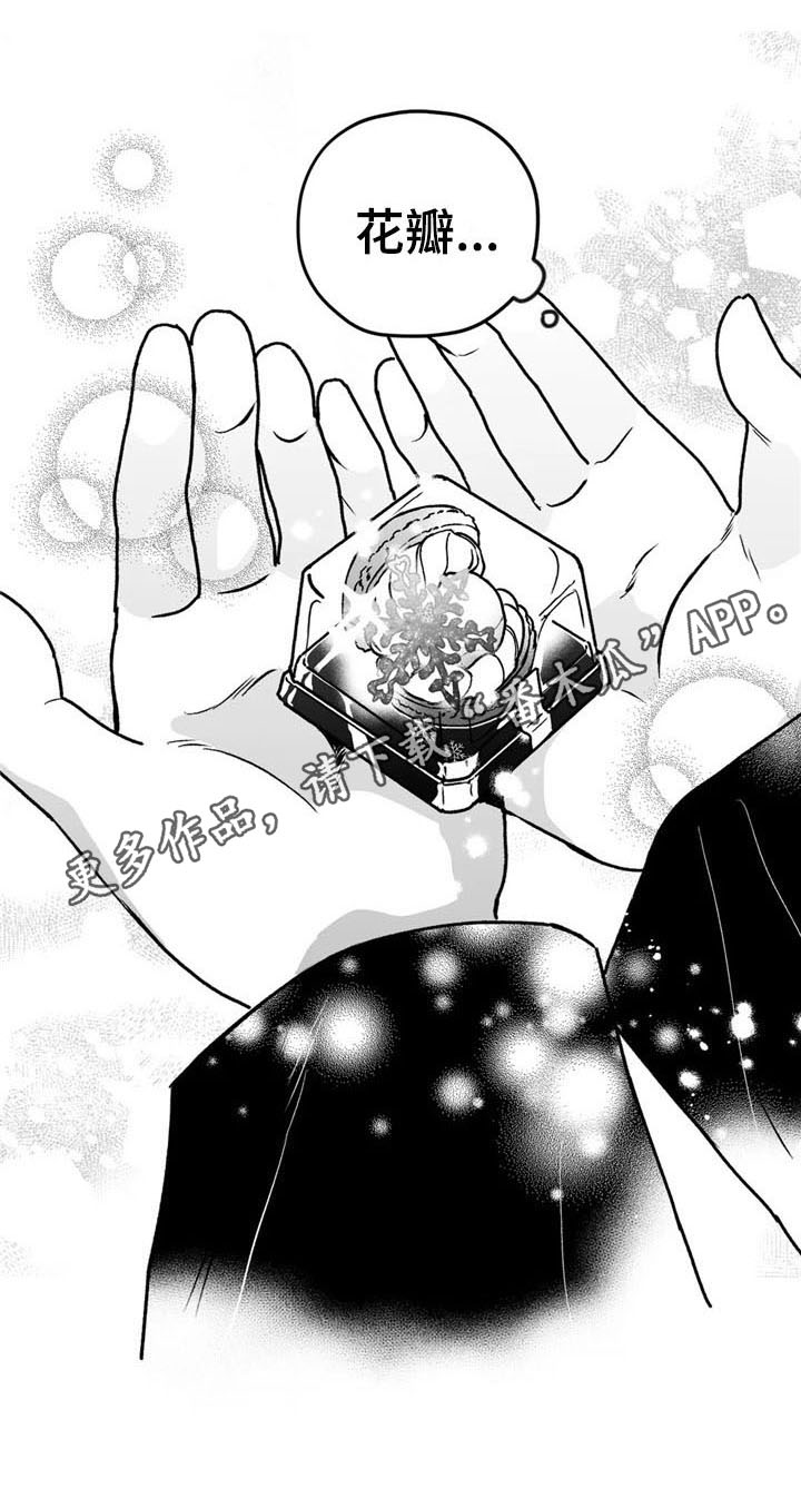 寻找波浪里的你漫画,第25章：礼物4图