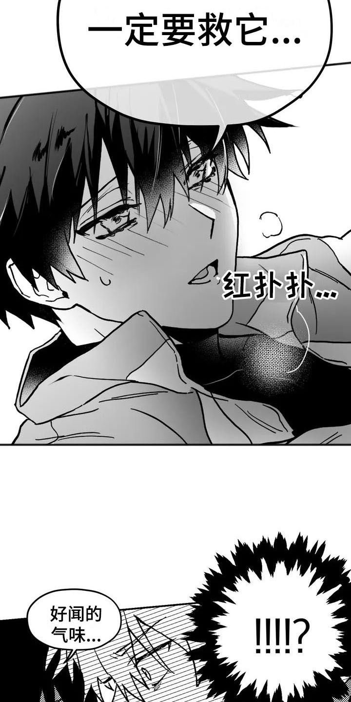 寻找波浪里的你漫画,第3章：特殊3图
