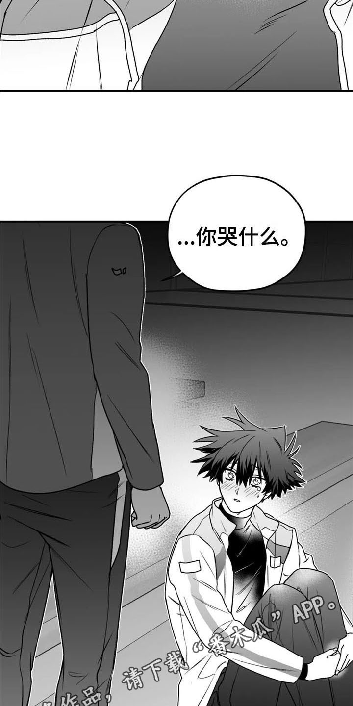 寻找波浪里的你漫画,第36章：哭泣1图