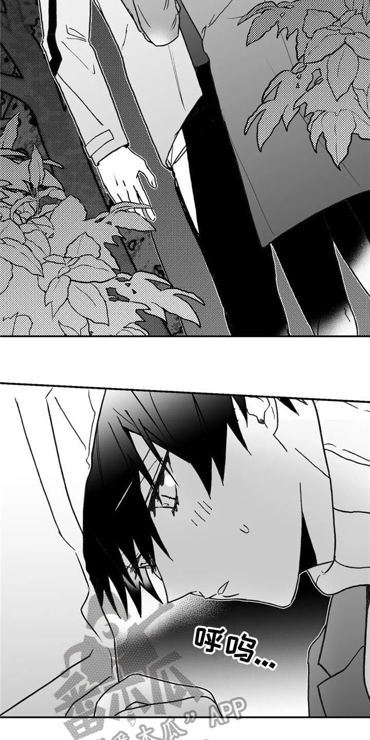 寻找波浪里的你漫画,第9章：提议2图