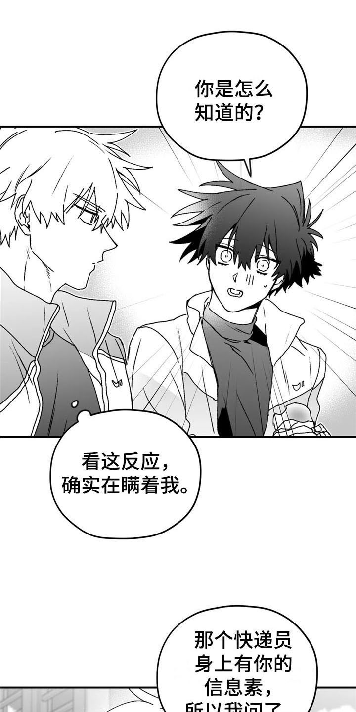 寻找波浪里的你漫画,第49章：询问4图