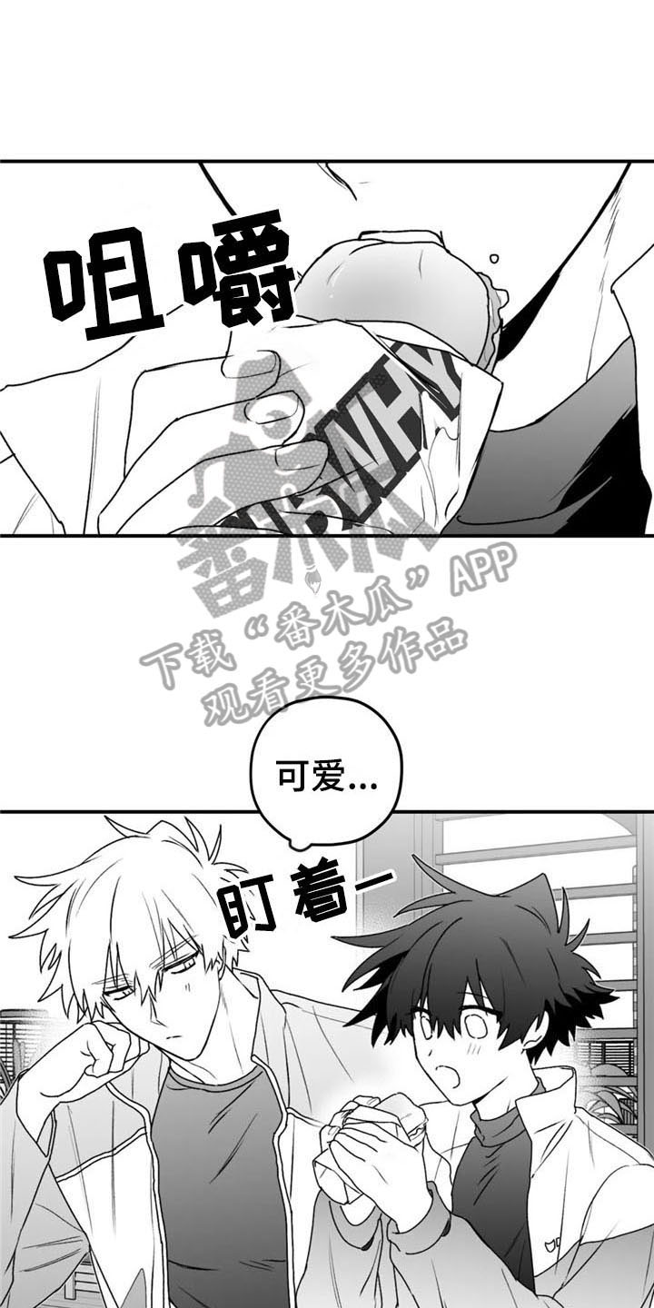 寻找波浪里的你漫画,第49章：询问5图