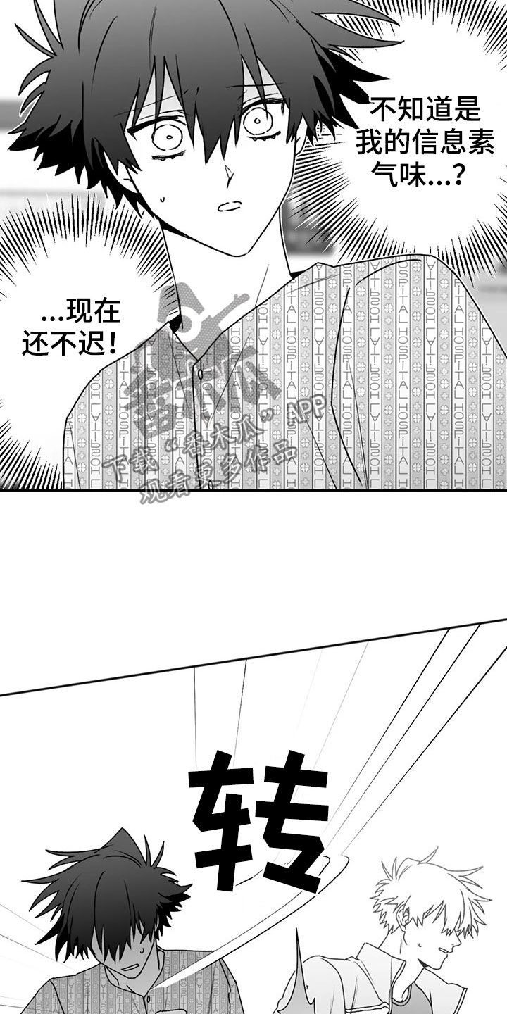寻找波浪里的你漫画,第54章：发现5图