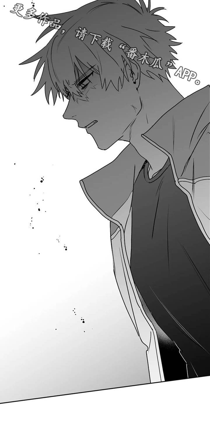 寻找波浪里的你漫画,第52章：退役2图