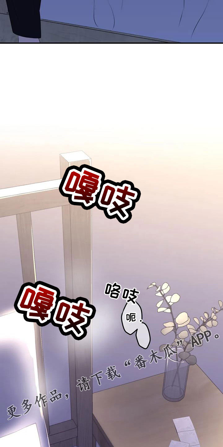 寻找波浪里的你漫画,第117章：【番外】误会解除2图